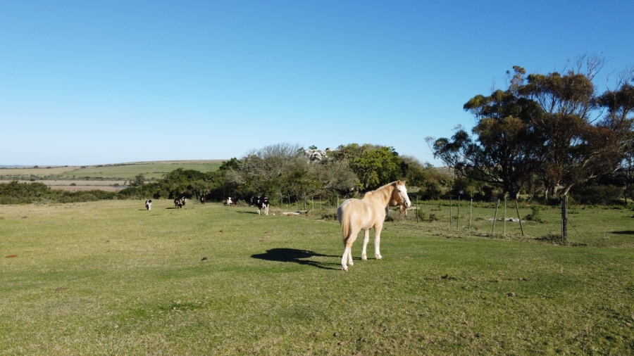 Commercial Property for Sale in Mossel Bay Rural Western Cape